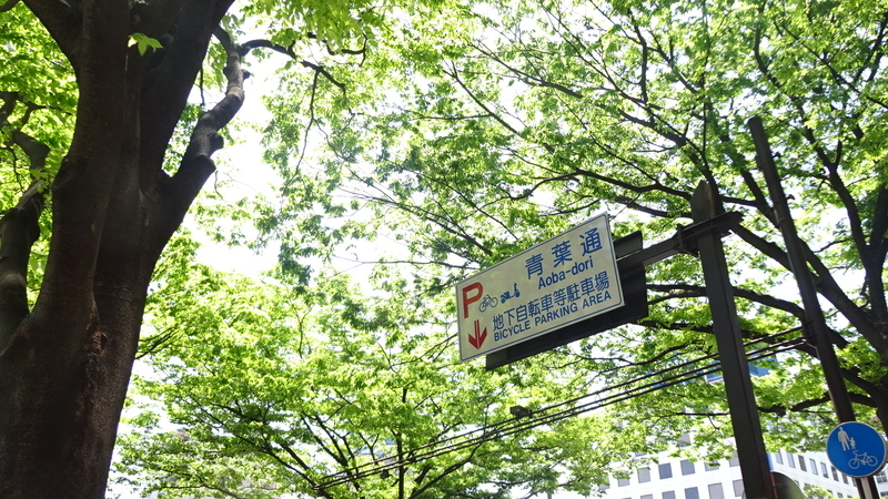 青葉通りの道路標識