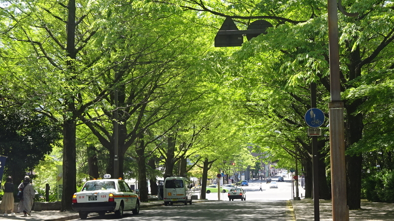 新緑の街を撮り歩き