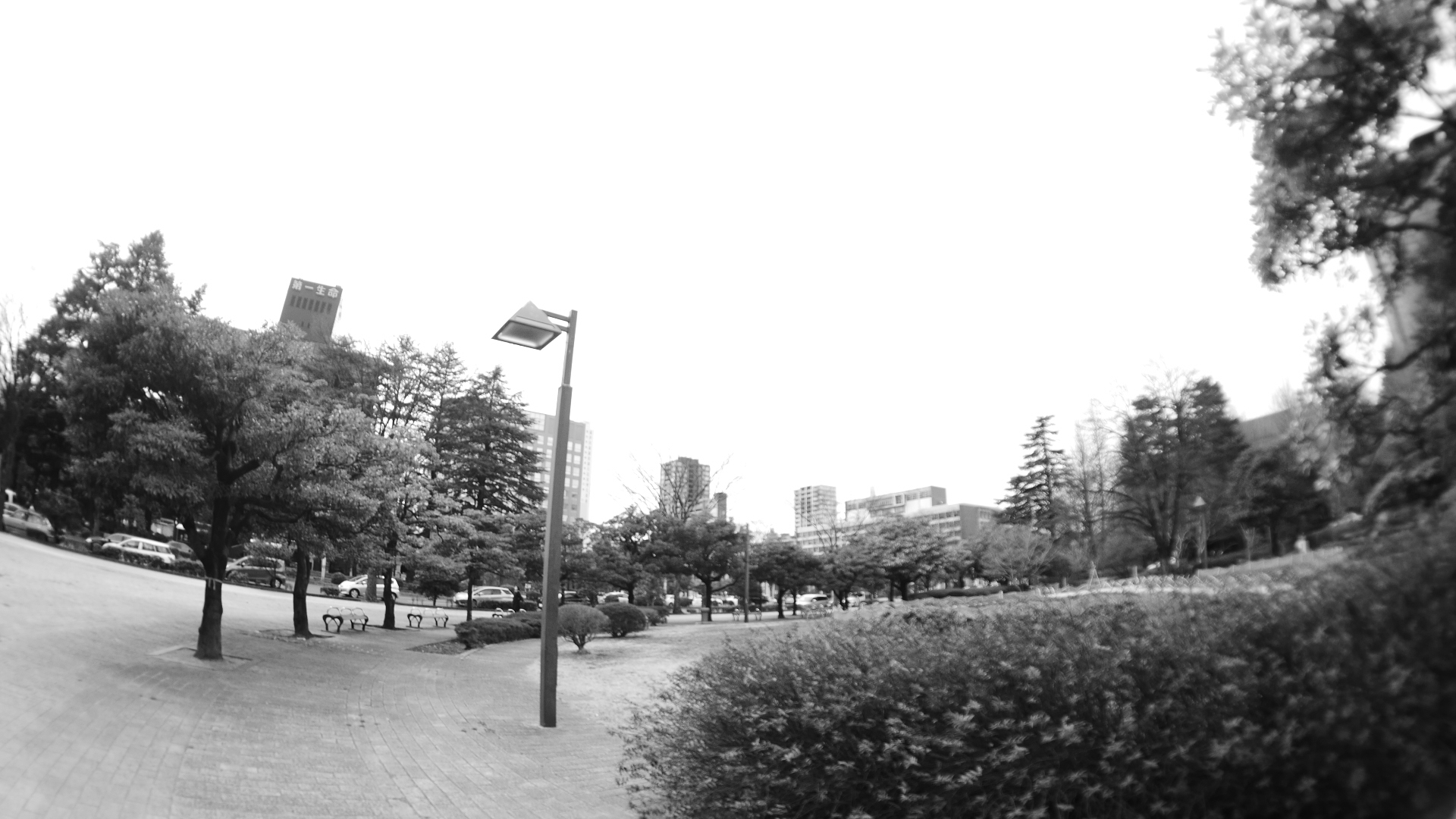 Pixco8mm/f3.8で広く写した公園