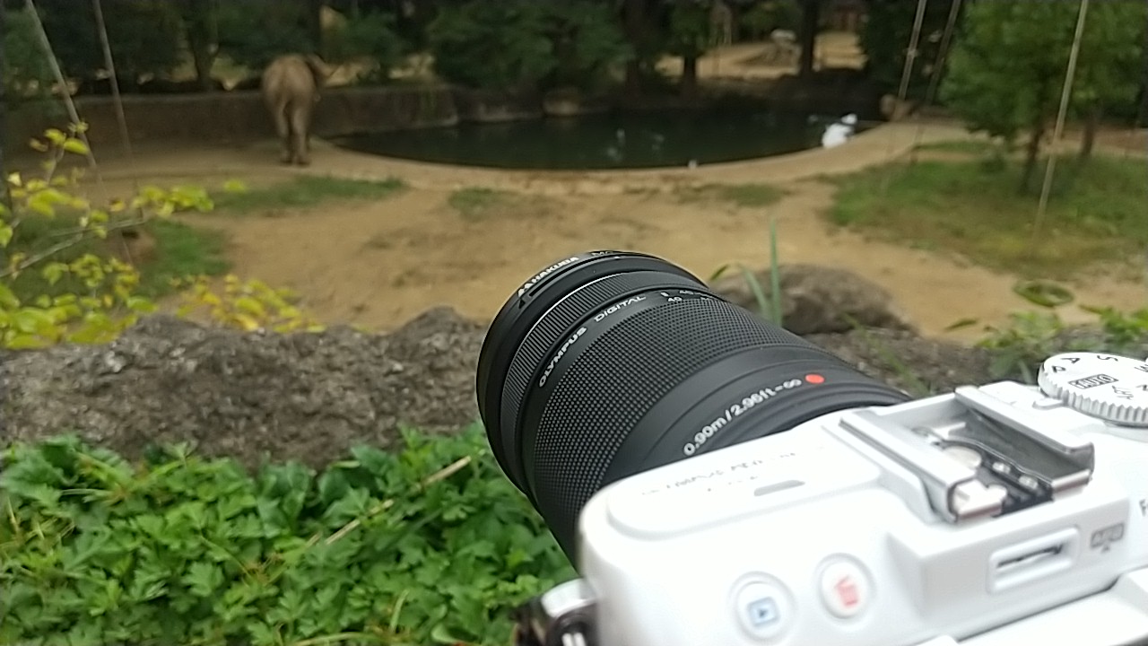 動物園で望遠ズームを使う